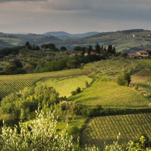 Azienda Agricola Maremma Bio — foto 7