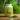 Nitrate+Antioxidant plant-based supplement white plastic jar