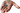 Corns blue hand