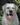 labrador, kennel, лабрадор ретривер, питомник