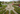 France miniature