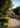 Kiosko de Crucecita Huatulco - Hotel Bindani