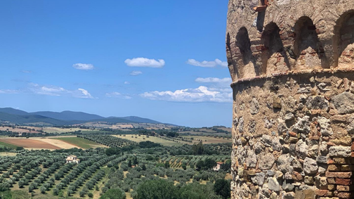 Azienda Agricola Maremma Bio — foto 5