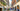 Rome, Italy, Eternal city, Caput Mundi: Luxury, Hospitality and Smart Travel