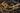 Wasa (Vasa) Museum: Stockholm, Sweden