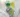Inulin and FOS green and yellow liquid in glasses