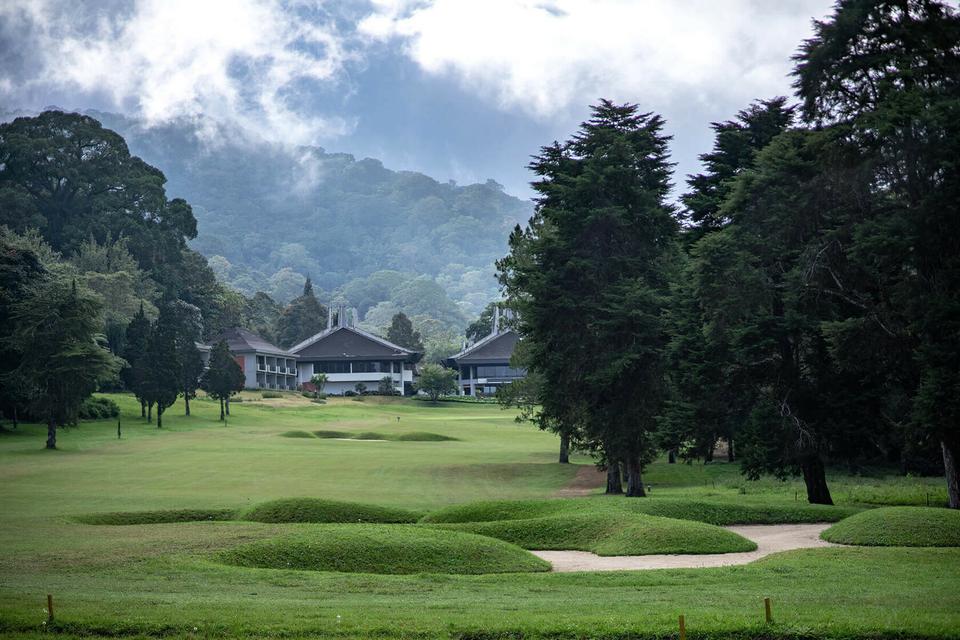 Handara course with pine trees and resort lodges in the mist