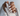 come fare le milky nails - Nailssecrets