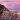Concerto alla Rustica for Strings in G Major: I. Presto