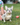 Photo of Fluffy French bulldog female
