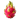 dragon fruit