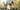 Sagrada Familia couple photoshoot